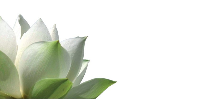 Akcelina_Health's profile banner image
