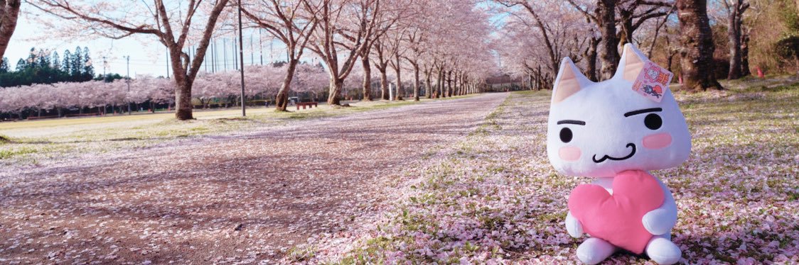 しゅん's banner