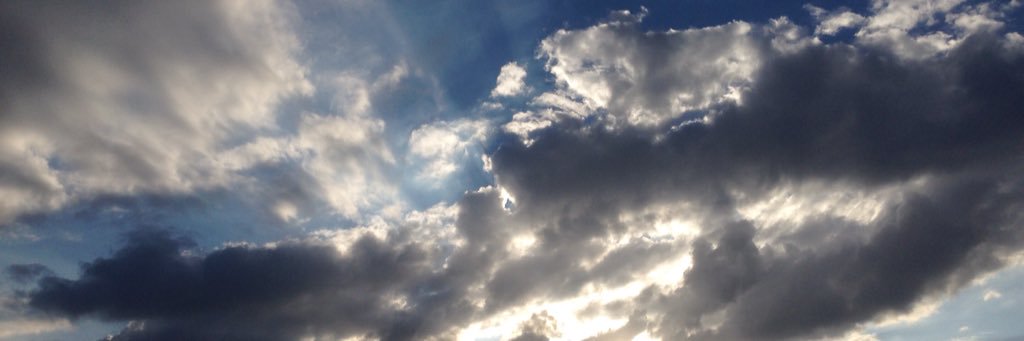 monicalvarezcst's profile banner image