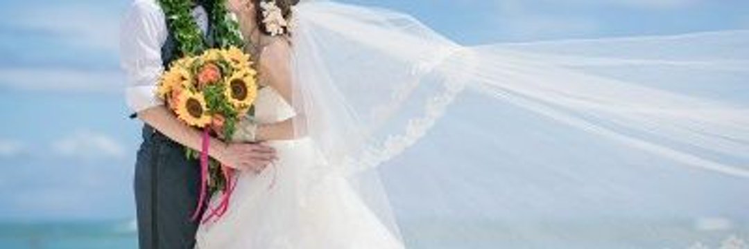 モモ banner
