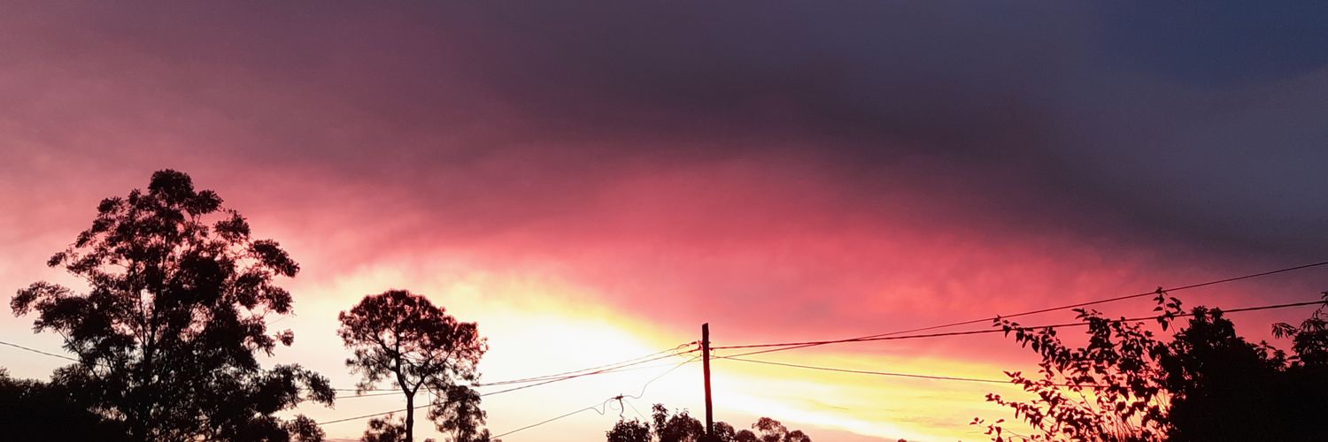 rostalter's profile banner image