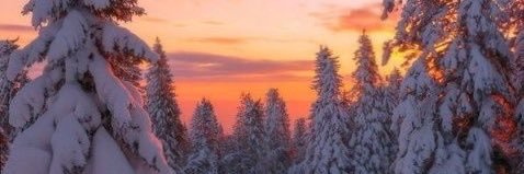 Stacie Robison banner