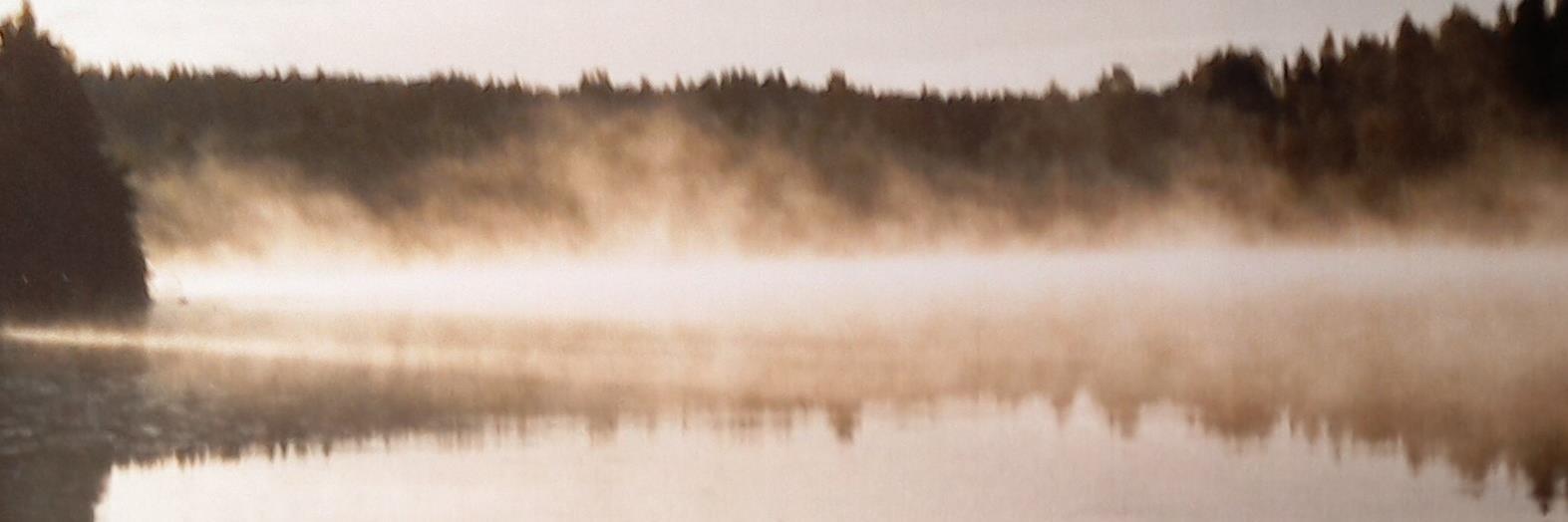 MscParExRet's profile banner image