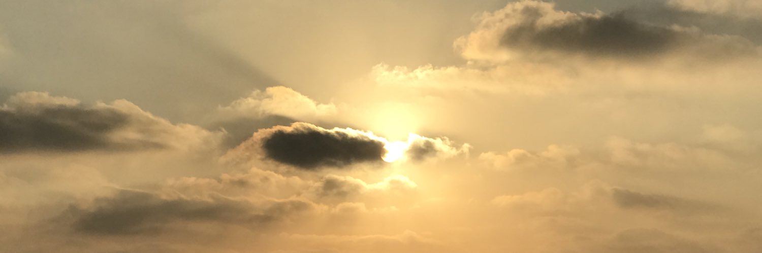 gn19194143's profile banner image