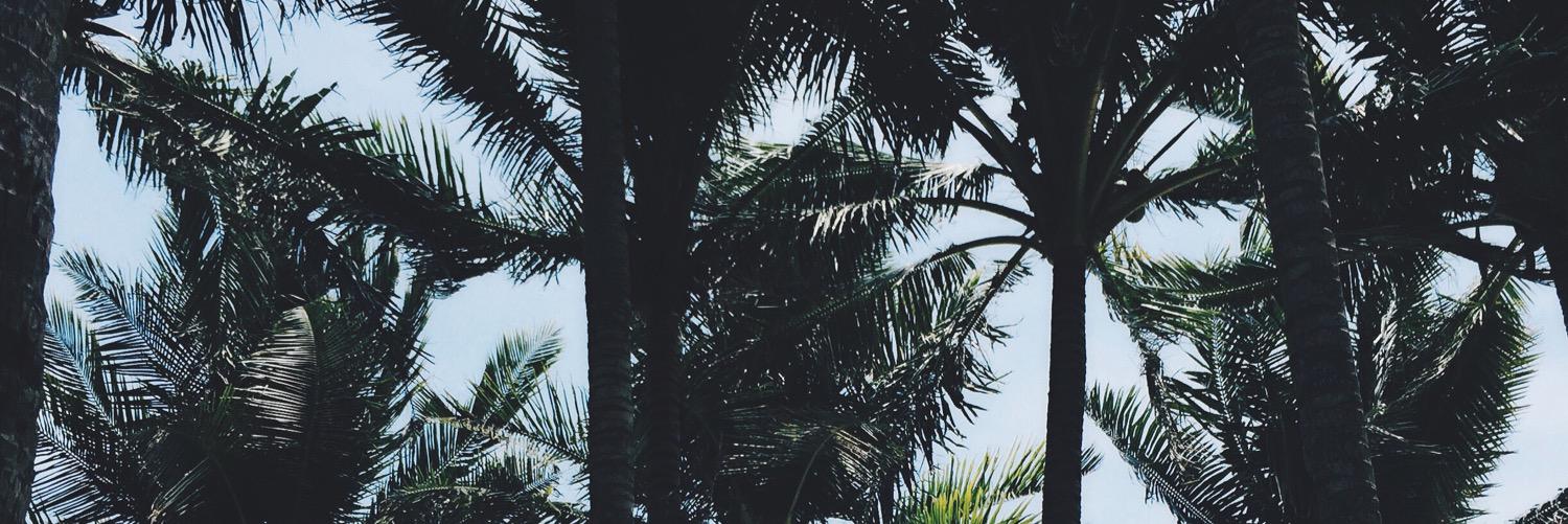 AAHMACAM's profile banner image