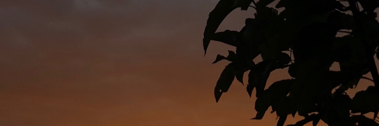 _ banner
