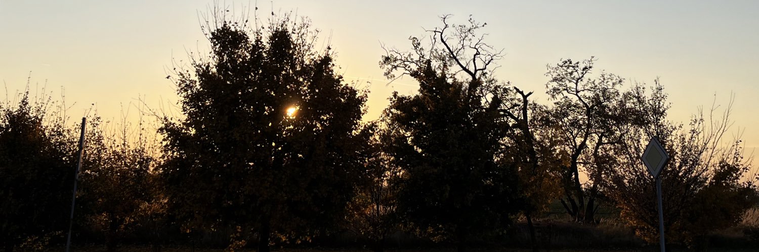 ibixix's profile banner image