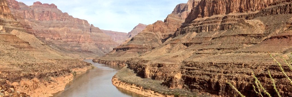 Sarah Russell ❤️🌈 banner