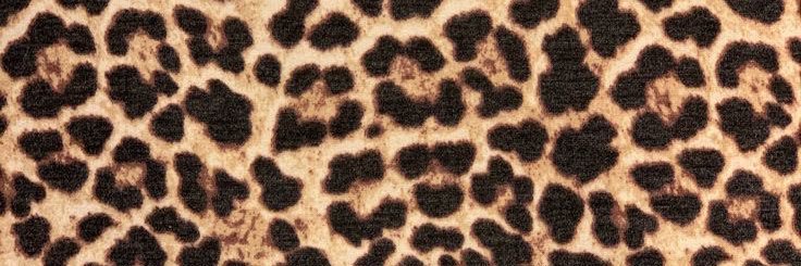 COOKIE BEST banner