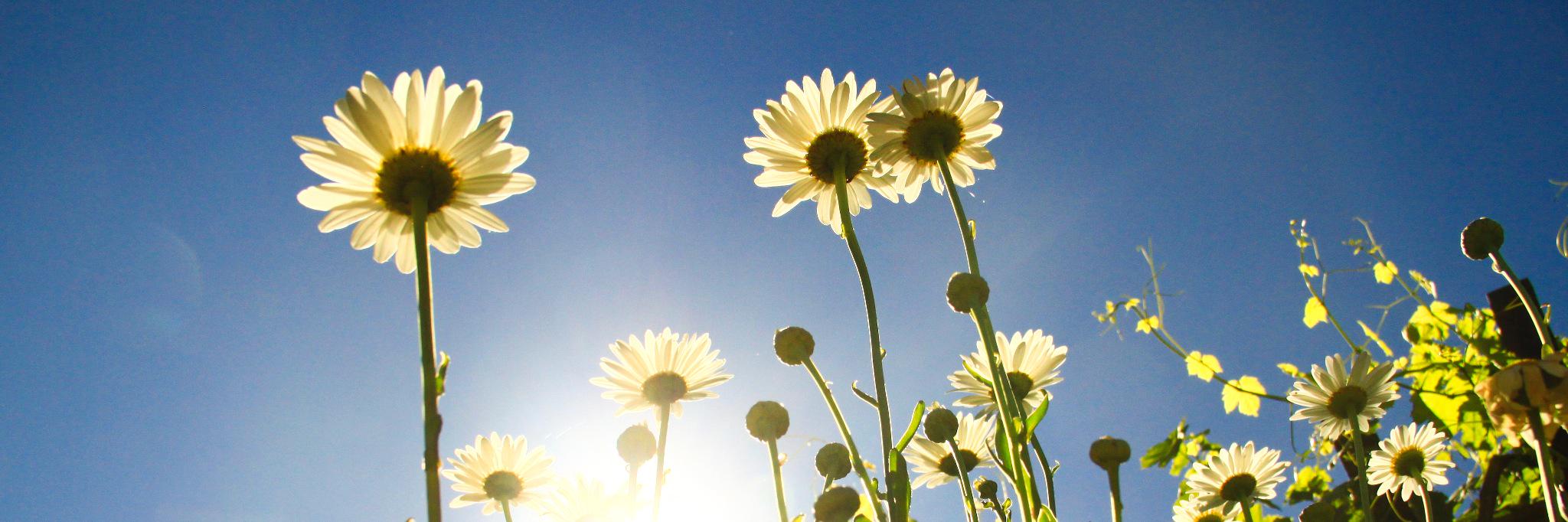 CamerinRoberts's profile banner image
