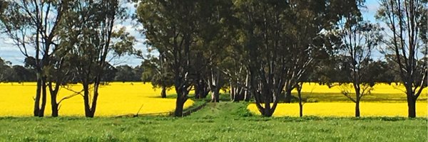 Panky61 Profile Banner