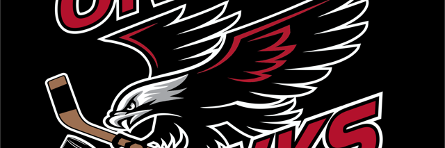 OrilliaHawks's profile banner image