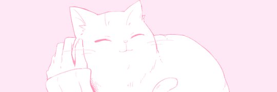 galletita's profile banner image