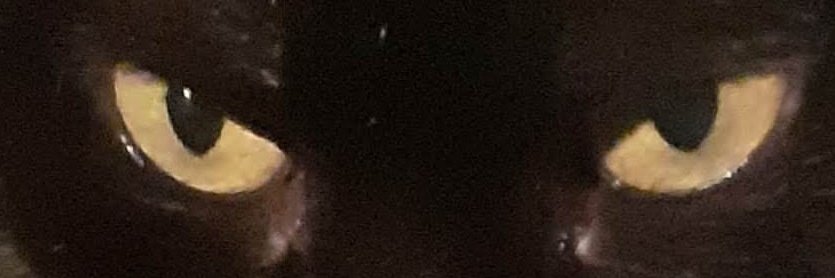 Louxxye's profile banner image