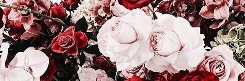 itscaracaramel's profile banner image