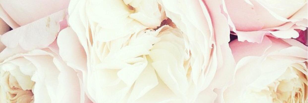 chalkertaylor's profile banner image