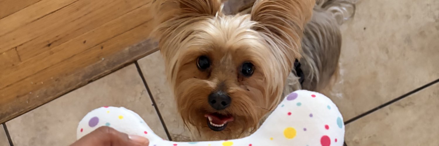 MylaFrench's profile banner image