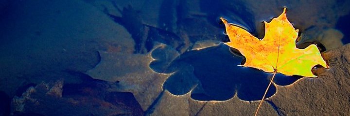CStagon's profile banner image