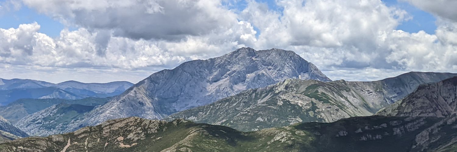 VI©️LE®️AND banner