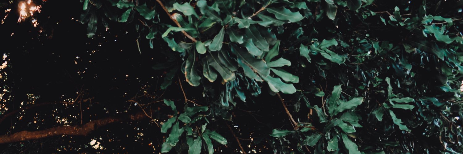 brooklynraeg's profile banner image