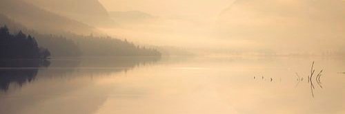 DougReiser's profile banner image