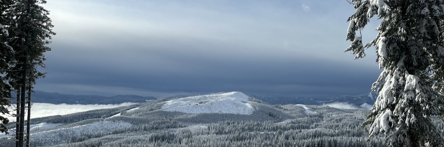 curvesahead's profile banner image
