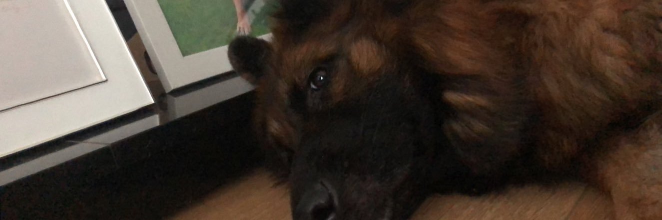 SamSamhanley69's profile banner image