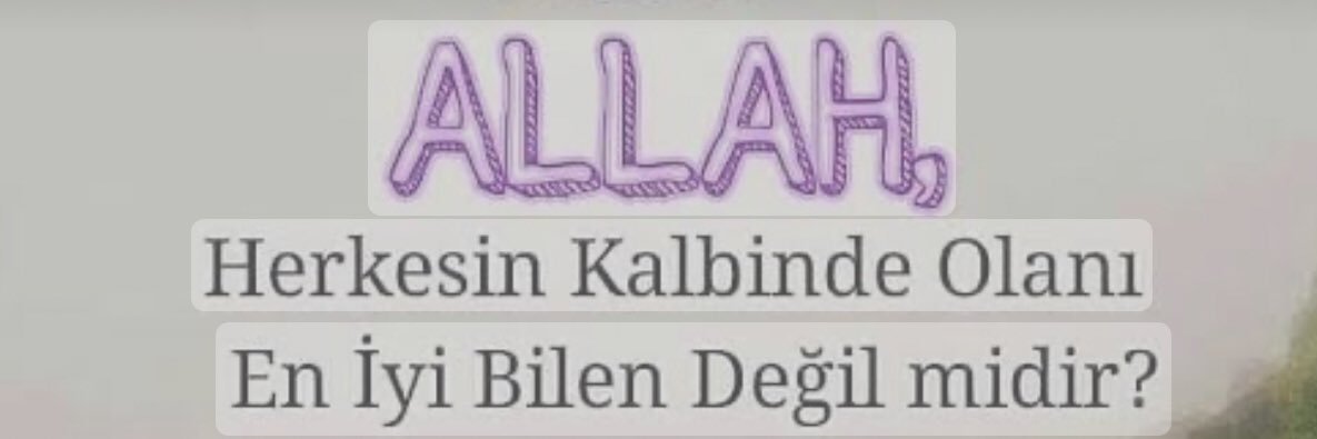 kozinoglu_eda's profile banner image
