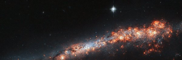 kbuzbai Profile Banner
