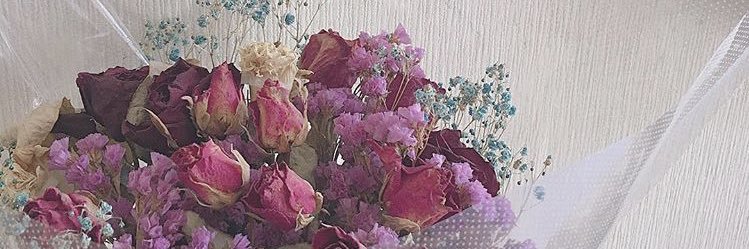aoi___toratora's profile banner image