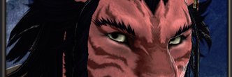 Xertez banner