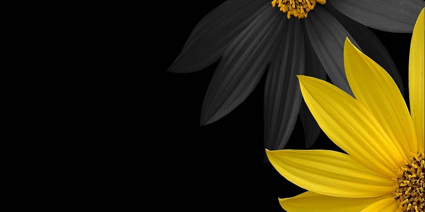 duffi_bs's profile banner image