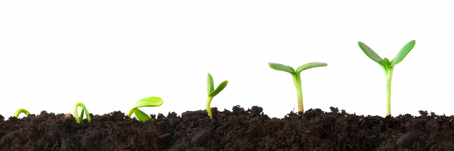 Growth Huddle banner
