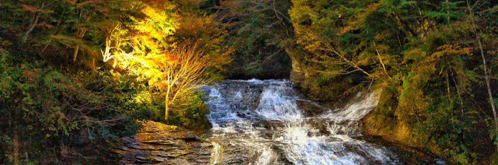 koshi_1229's profile banner image