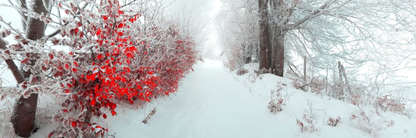 FelicityQueenn's profile banner image