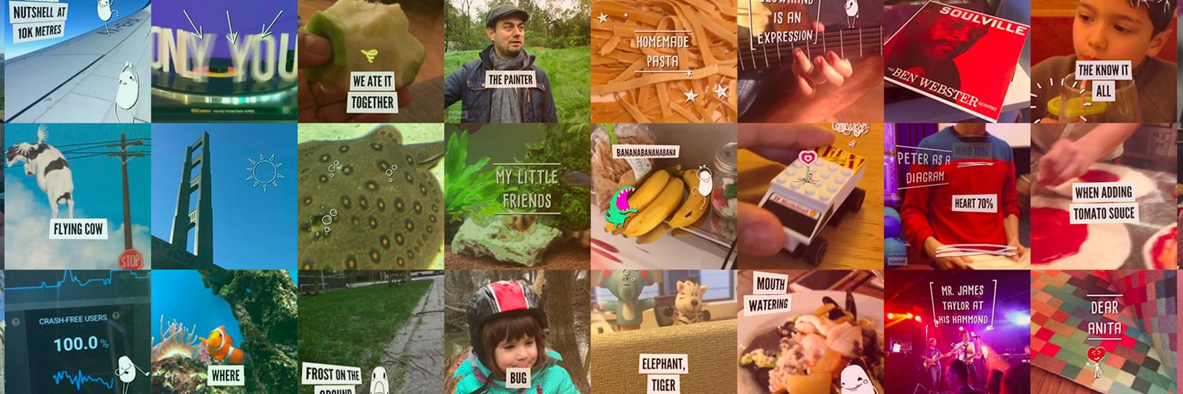 NutshellCamera's profile banner image