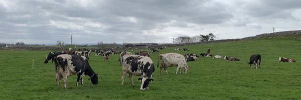 kiltullaghfarm Profile Banner