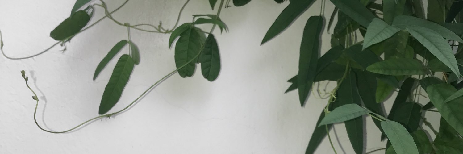 . banner