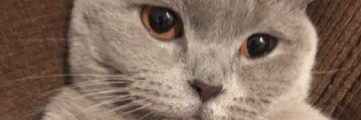 bisnduyamiyorum's profile banner image