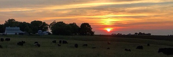 JennCattleGal Profile Banner