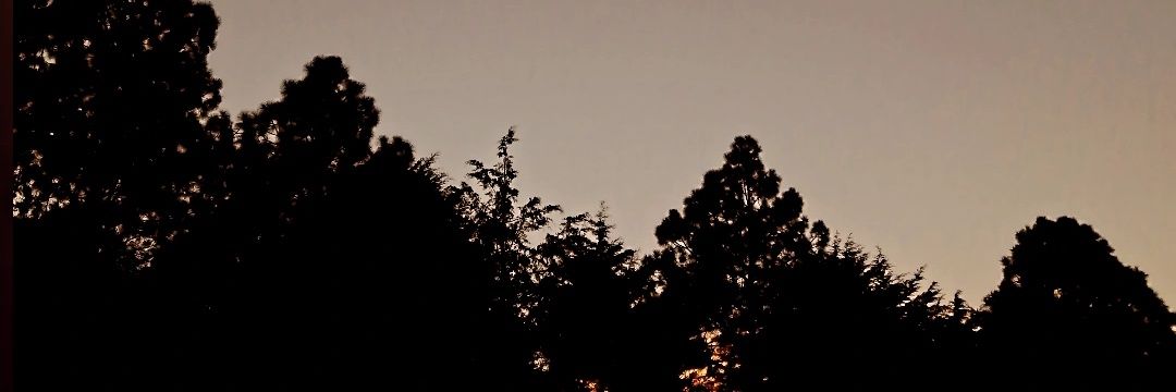 TheRiseOfAnggel's profile banner image