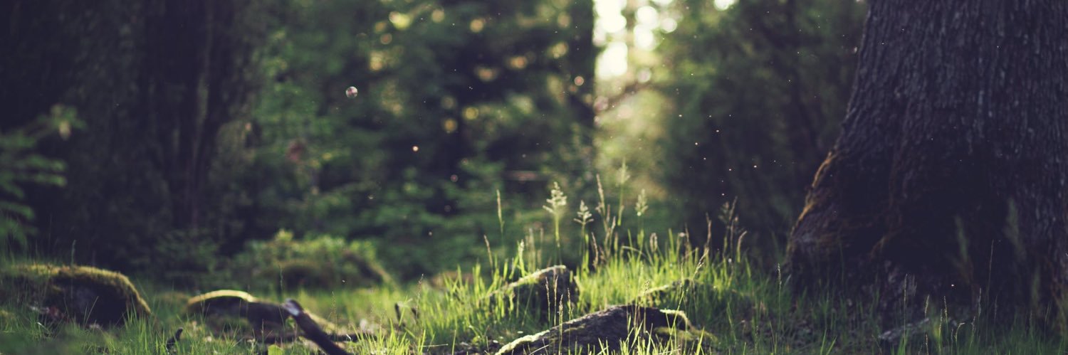 kittycat1286's profile banner image