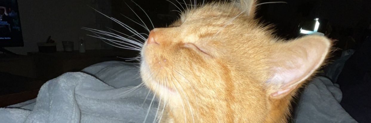 chloe_dcp's profile banner image