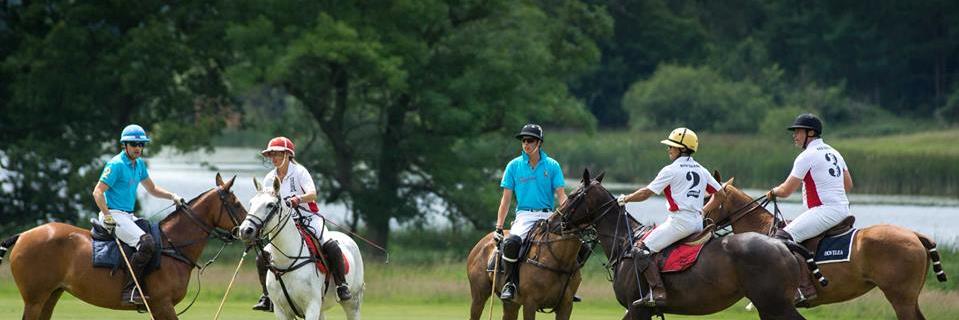 Aspect Knepp Polo banner