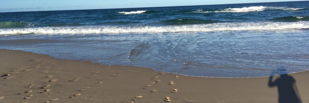 Lorraine Ní Mhathúna banner