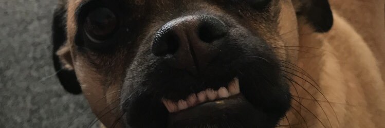 williamsnic2's profile banner image