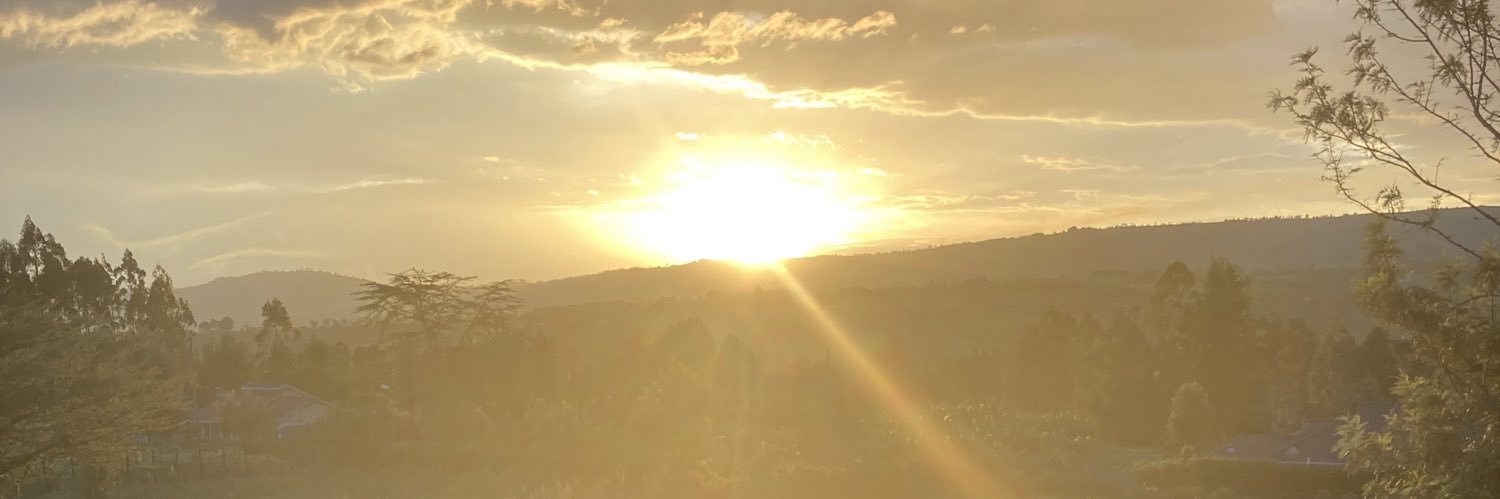 IrPeris's profile banner image