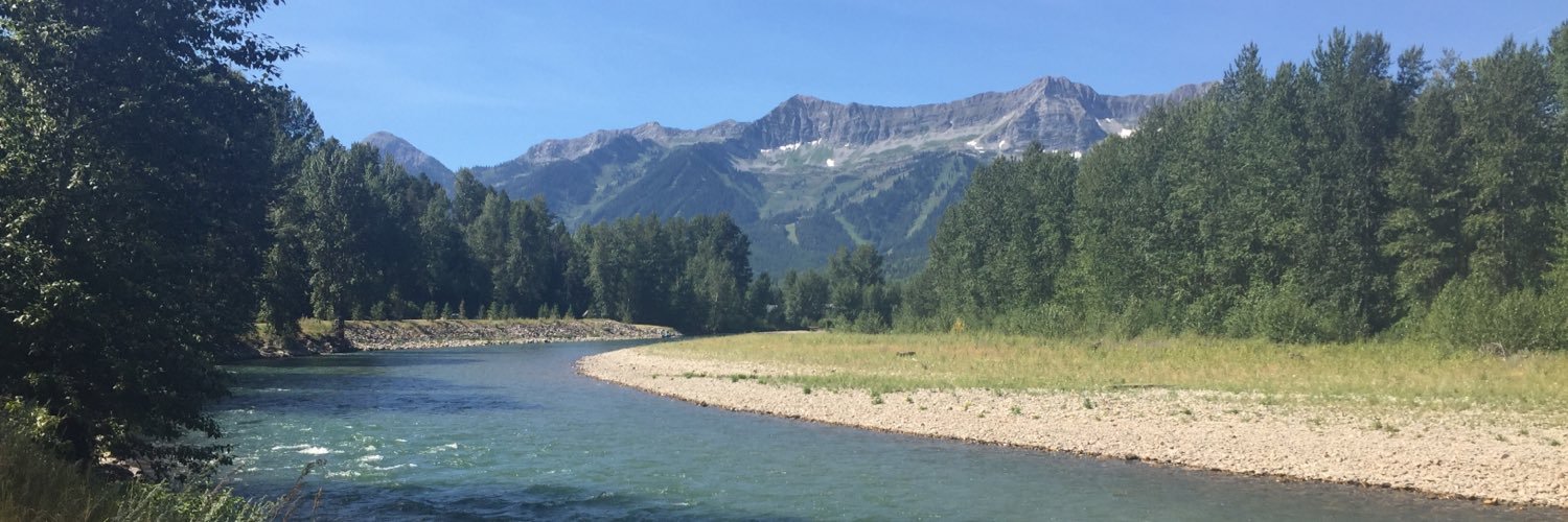 Alan McInally banner
