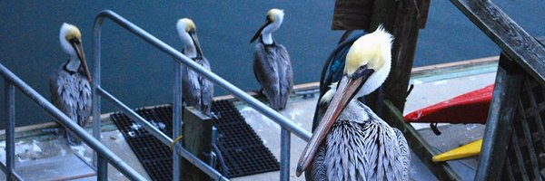 ethlightwaves Profile Banner