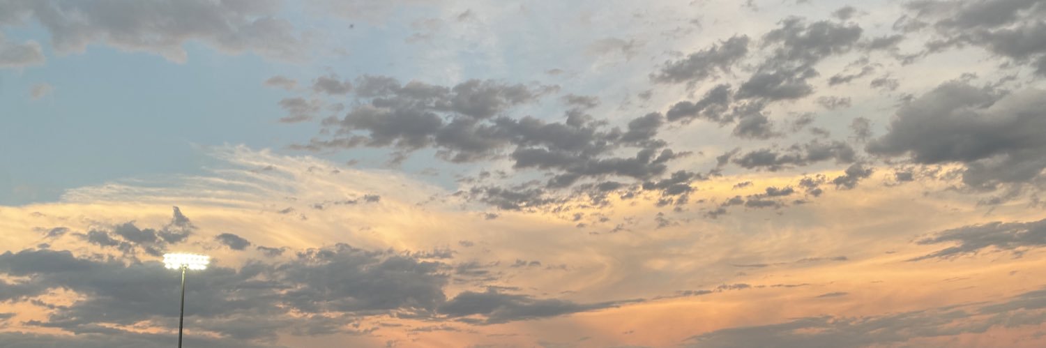 LexiVertin's profile banner image